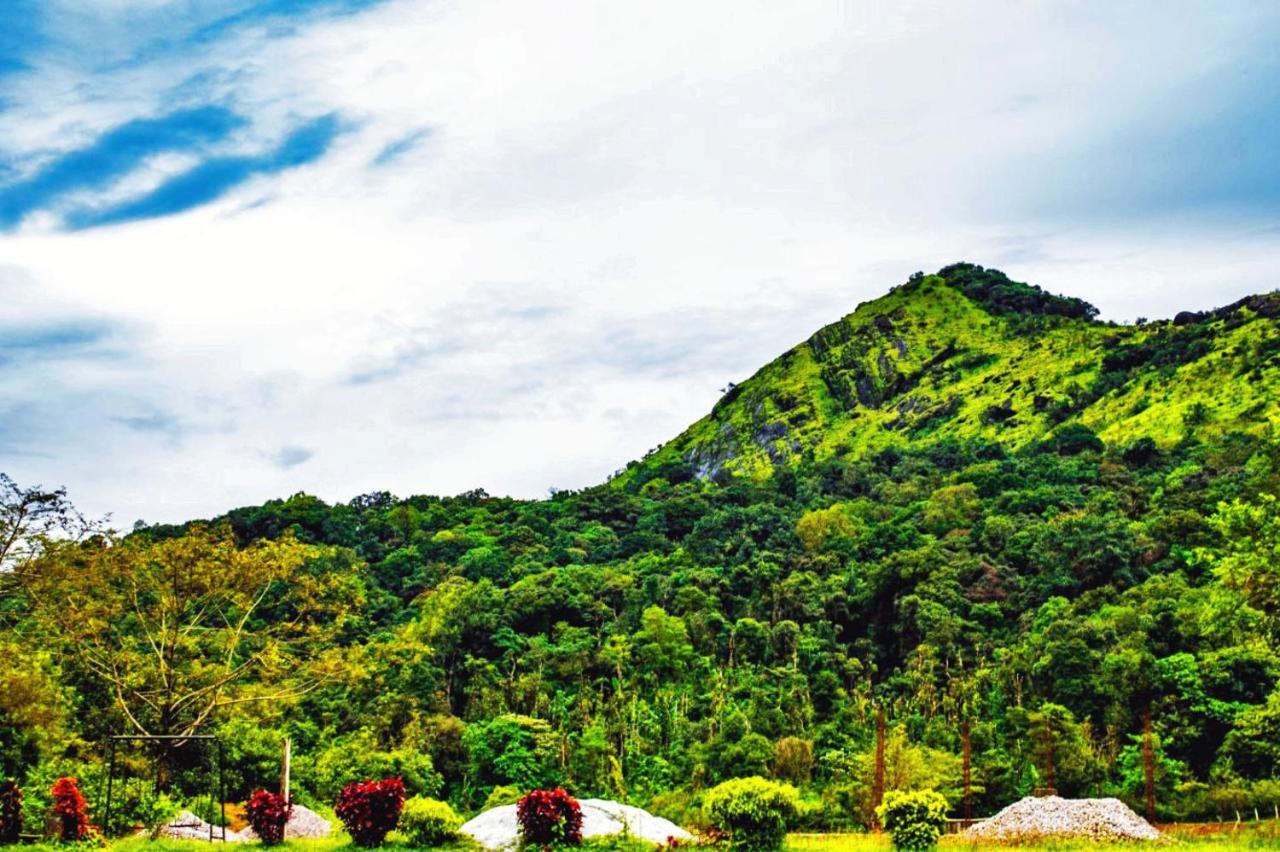 Staymaker Kasargali Homestay Sakleshpur Extérieur photo